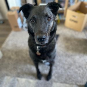 Meet your Posher, Aubrey